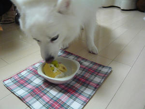 20101009-7.jpg