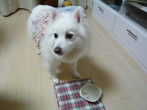 20101009-8.jpg