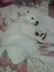 20101218_001.jpg