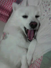20101218_003.jpg