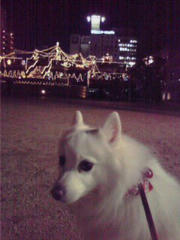 20101216_001.jpg