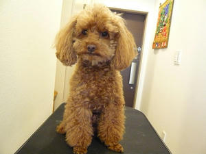 20101217-1.jpg