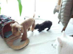 20101217-4.jpg