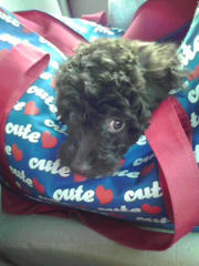 20101215_001.jpg