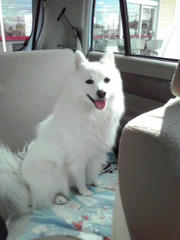 20101215_002.jpg