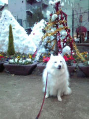 20101215_004.jpg