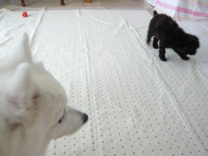20101214-1.jpg