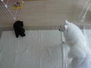 20101214-2.jpg