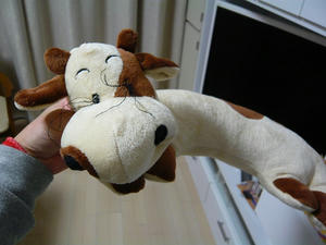 20101212.jpg