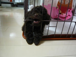 20101211-1.jpg