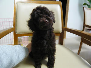 20101211-2.jpg