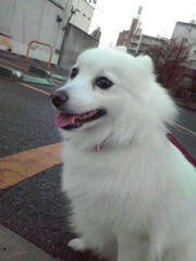 20101129_001.jpg
