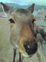 20101128_002.jpg