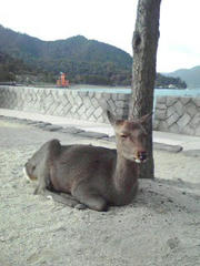 20101128_001.jpg