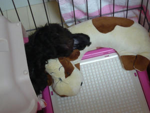 20101218-3.jpg