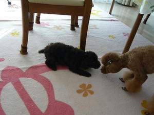 20101224.jpg