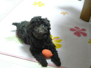 20101226.jpg