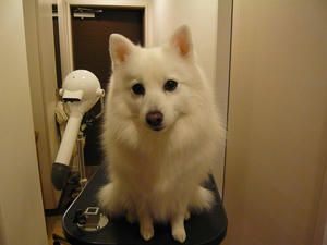 20101231.jpg