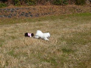 20110102-1.jpg
