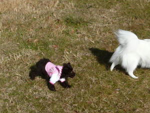 20110102-2.jpg
