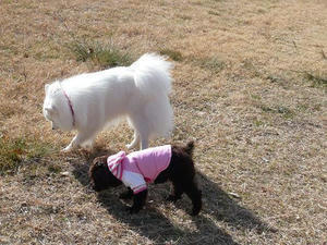 20110102-3.jpg