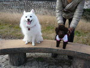 20110102-4.jpg