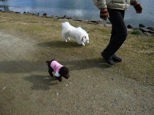 20110102-5.jpg