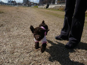 20110102-6.jpg