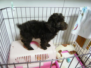 20110105-1.jpg