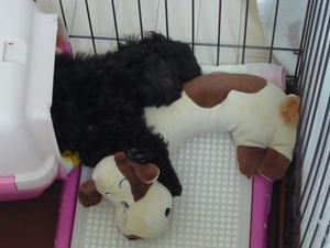 20110107-1.jpg