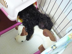 20110107-2.jpg