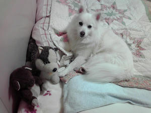 20110110.jpg