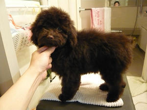 20110112.jpg