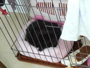 20110115-1.jpg