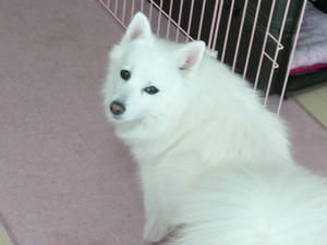 20110115-2.jpg