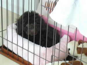 20110115-3.jpg