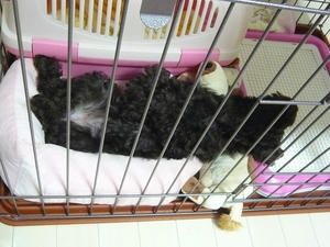 20110125.jpg