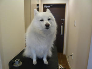 20110128-4.jpg