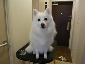 20110128-5.jpg