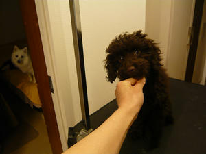 20110128-1.jpg