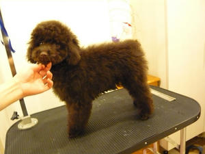20110128-2.jpg