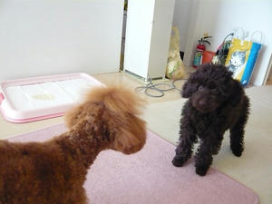 20110209-1.jpg