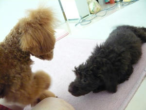 20110209-2.jpg