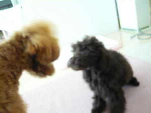 20110209-3.jpg