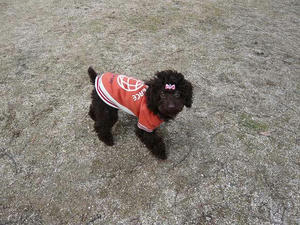 20110213-2.jpg