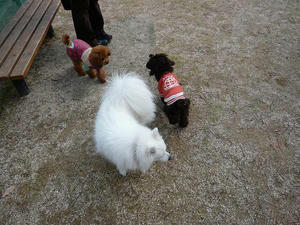 20110213-3.jpg