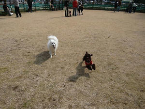 20110213-5.jpg