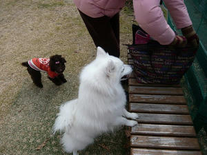 20110213-7.jpg