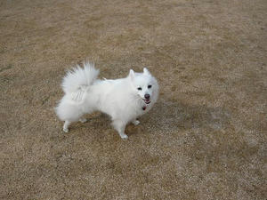 20110213-8.jpg