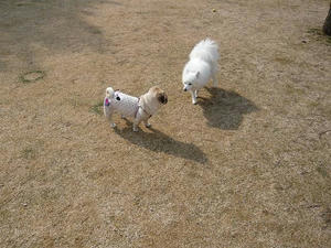 20110213-11.jpg